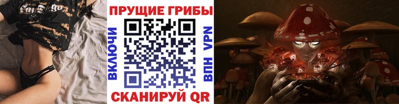 Галлюциногенные грибы Psilocybe  Купить закладки  Фролово 